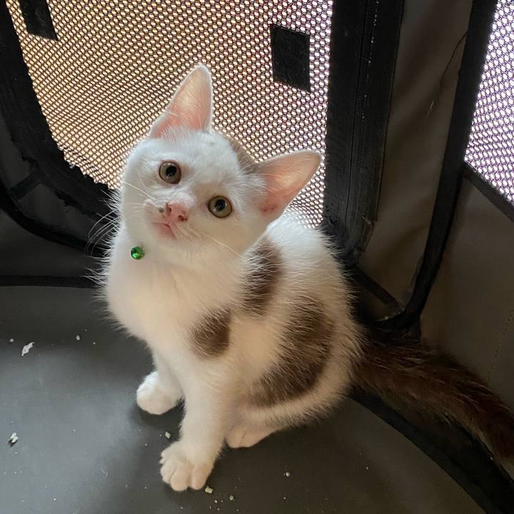 511e915a 980c 4244 ad8c b72afc572385 1686642852561