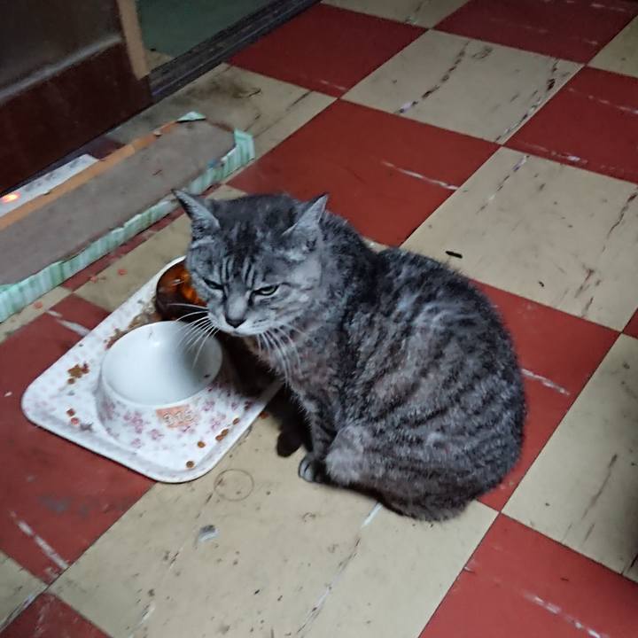 511ed417 380a 4a0f 98ab f7a074195f48 1570912020579