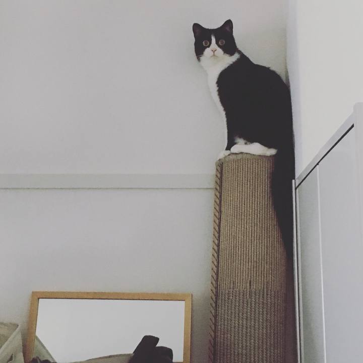 511edde1 b89b 49a2 a259 8abab2a3610f 1563164237089