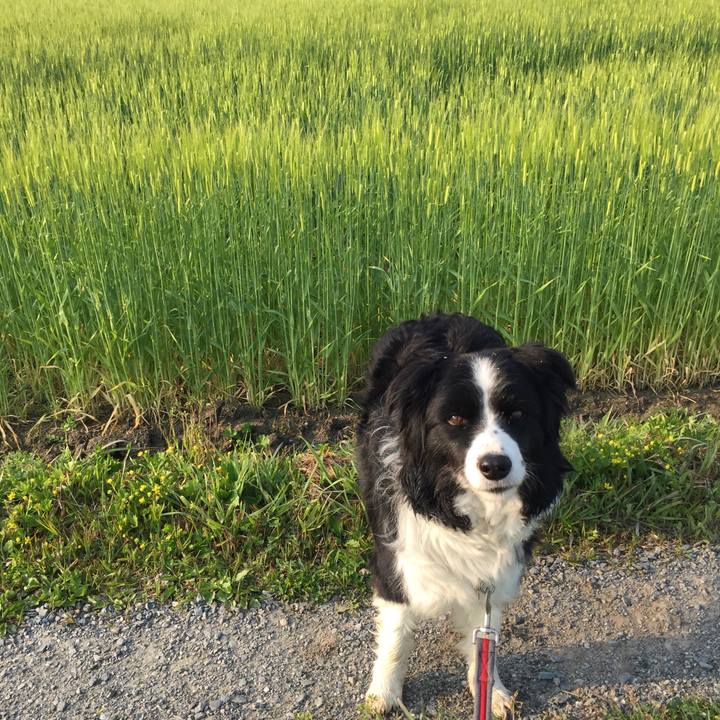 511ef0cb beaf 4f47 887f 34c3e1aba589 1586388074698