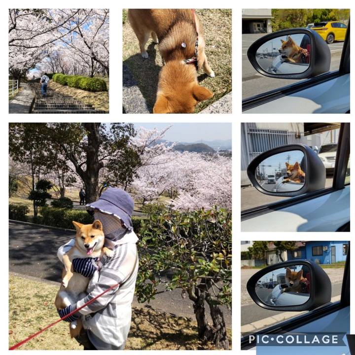 511f0646 baa2 4a5d 8dba 531712b6e66e 1649045698083