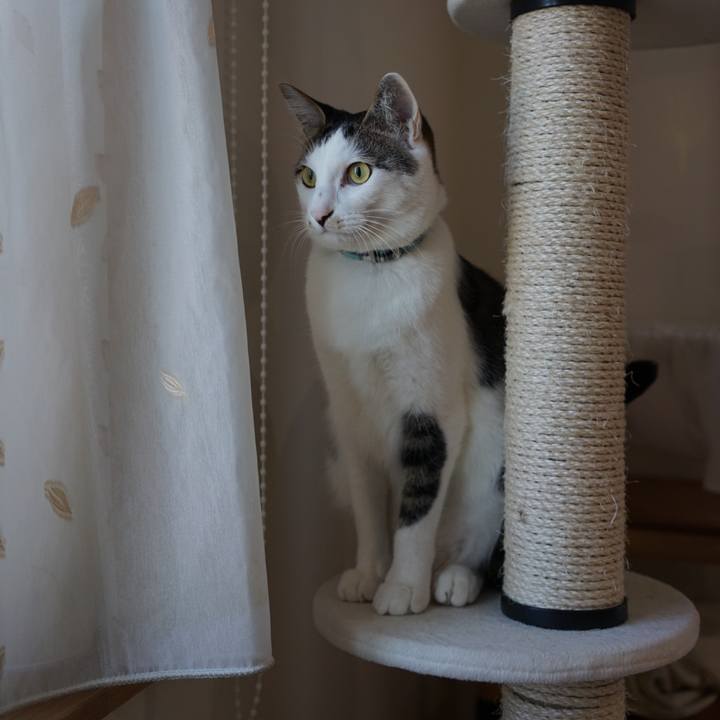 511f3208 057e 42e0 b3f9 4c30408b774e 1512516458096