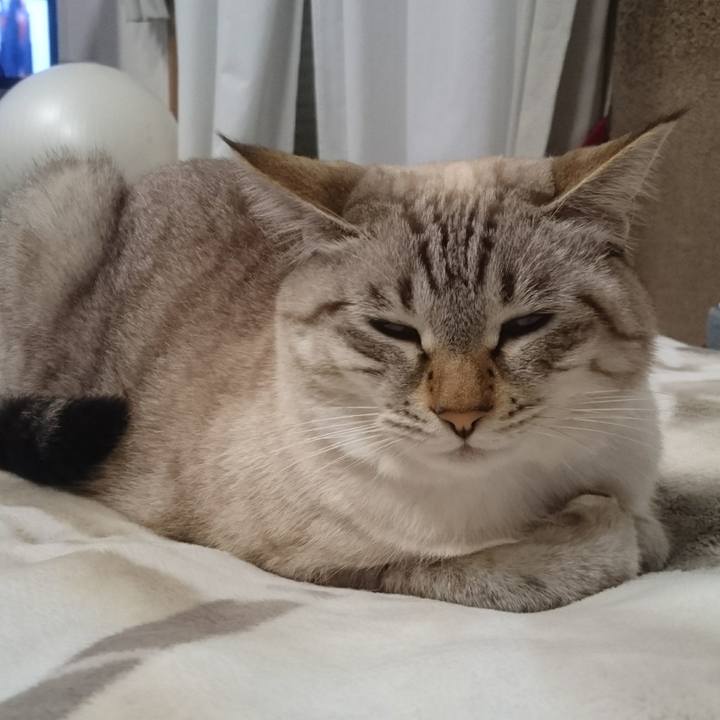 511f41a2 96a4 4d59 aafa 3eca9dcd2a06 1508504670626