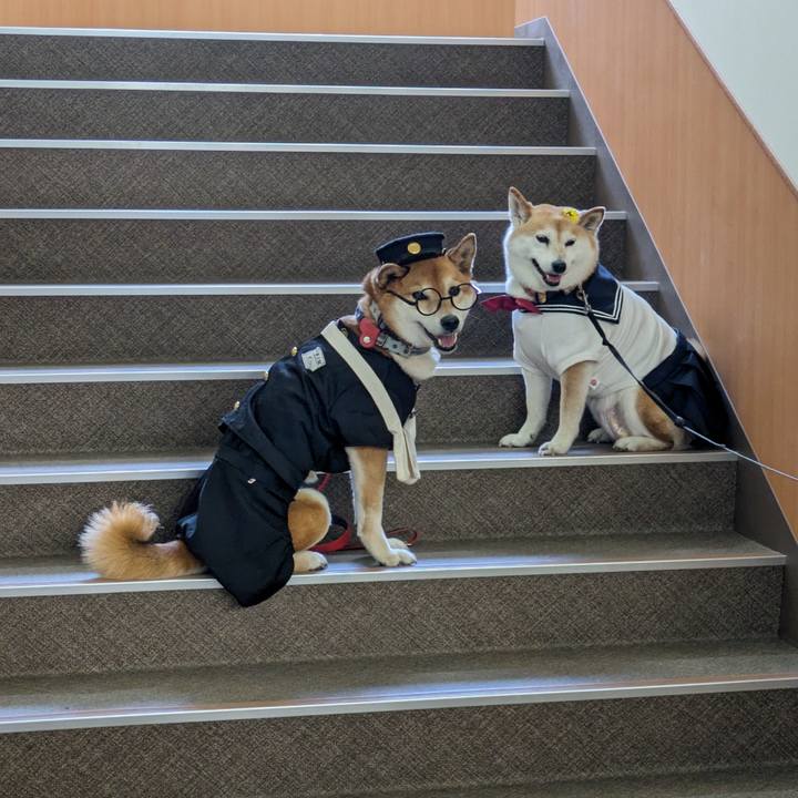 511f5435 1692 4449 a7ba 17abb588647a 1714370299097