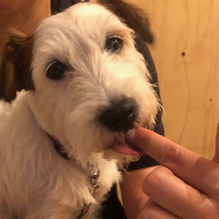 511fee1d 7ab5 4f66 aece b411dde6dde3 1562276589624