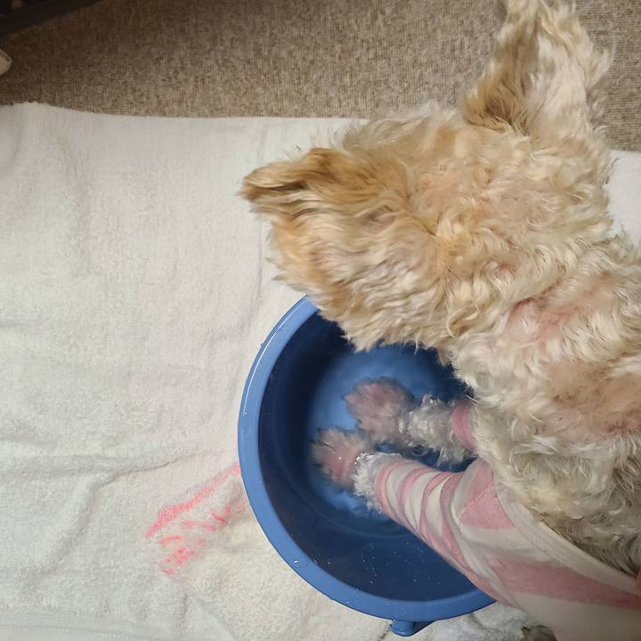 5120276f 6268 4b8f bb1a dac379f601d6 1674992163595