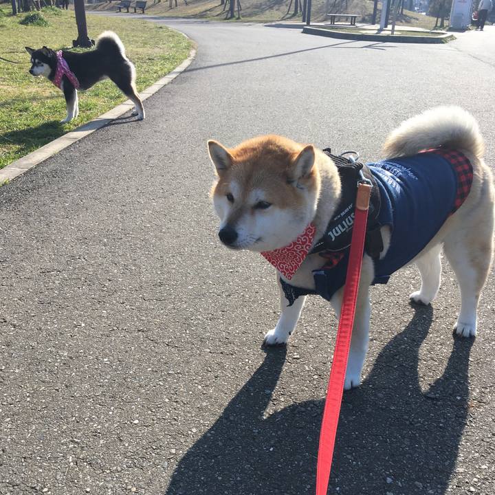 5120c79b 56d8 4278 ad03 0c40e052fc82 1583024666296