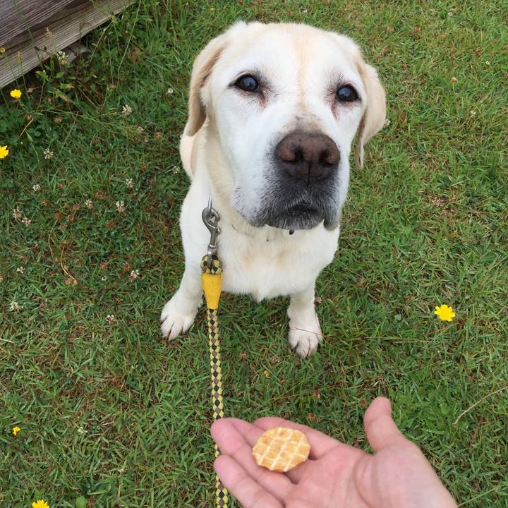 5120ceab ae56 47b4 8a95 eeba3f1b0b49 1528797882134