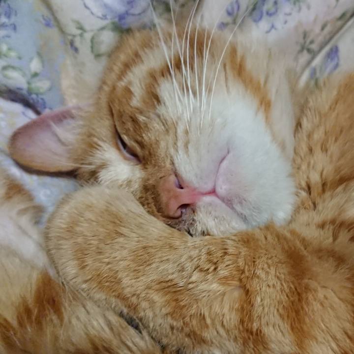 512117d9 f224 4734 aa59 5608a0a3b17d 1653912660341