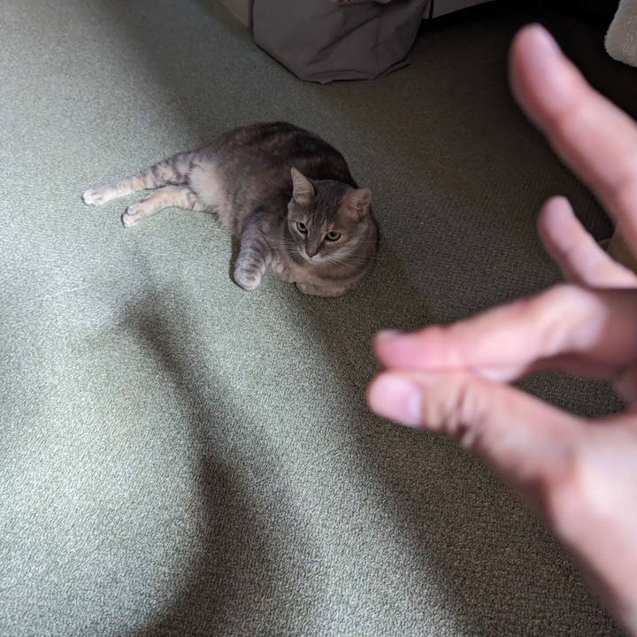 51214179 41e8 4e87 8025 7c46e2571a88 1714975971487