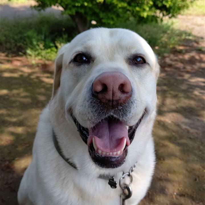 5121478a 717d 494c aee3 7574e2ac70e4 1588122828033