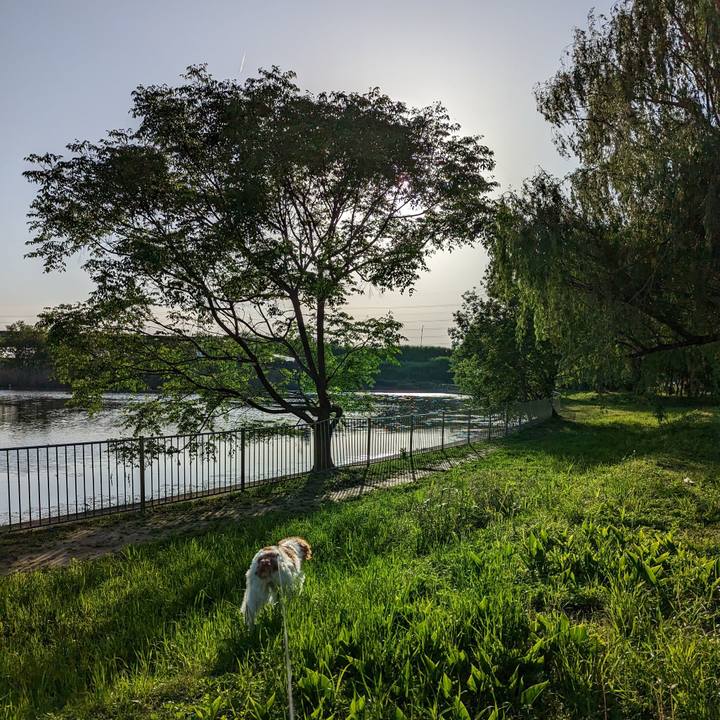 5121514e 5d0d 4b1a 899c cef59065ded7 1684235975172