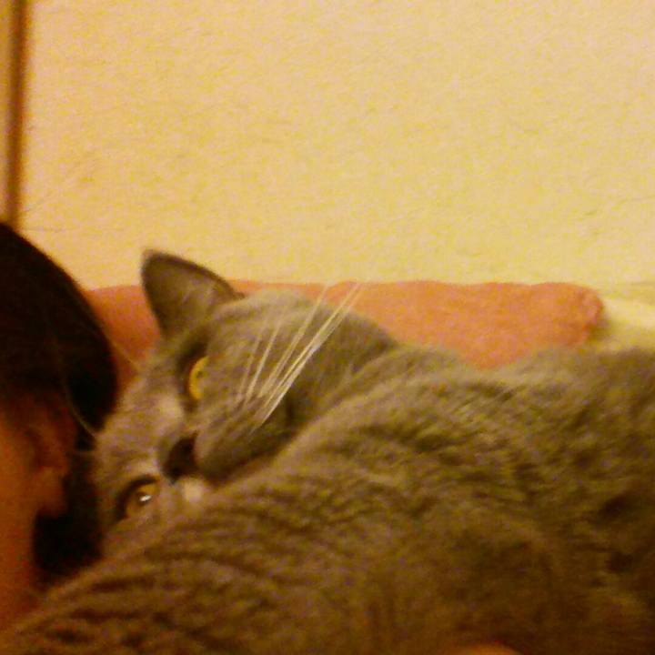 512178c4 5a34 4a0b b437 22df575d08ed 1573293888485