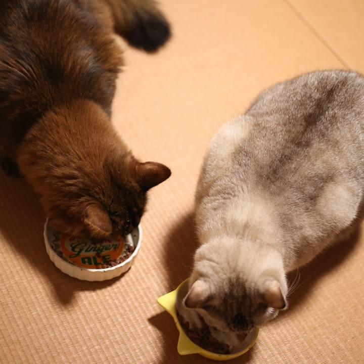 51217c17 085a 44a5 aba2 9c7e4c9a2519 1672490634403