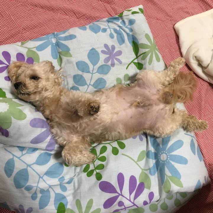 51219046 5621 4c94 802b 0279e077db00 1529900668663