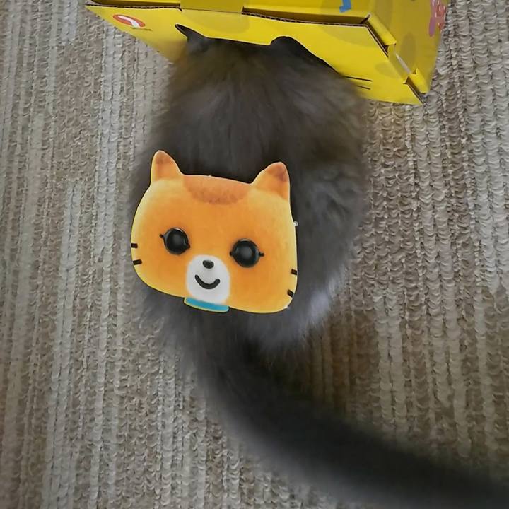 5121a516 1b4d 43a2 846d c3f8f098bf9a 1564291435777