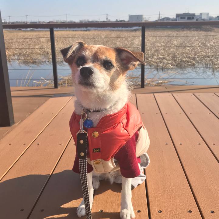 5121b554 fa6c 47f5 bb80 0d0ab116f966 1578881293041