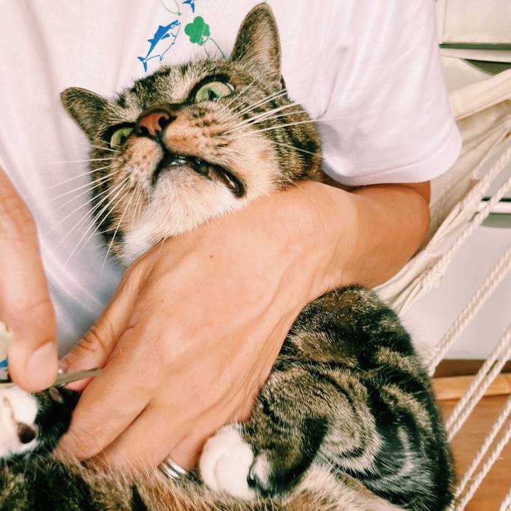 5121d638 3b10 46d6 8857 a1376c7199ca 1599955813289