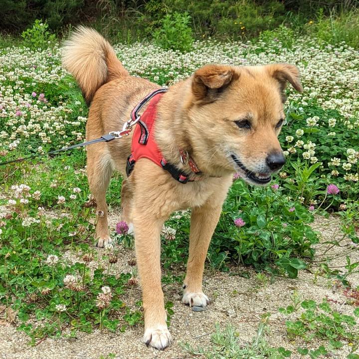 5121e09e 37d3 46b9 99c3 9ffbff668319 1684747952992