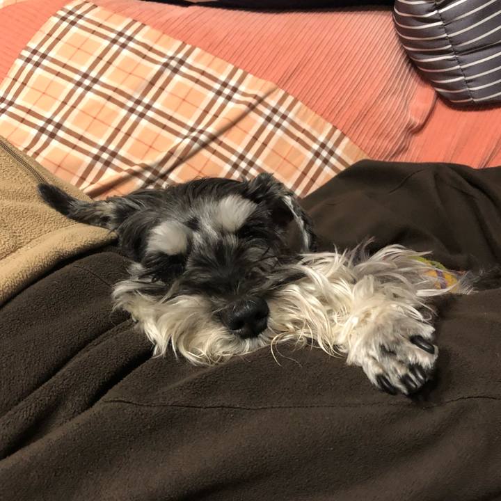 5121f106 de12 4d2b 81f6 61c96554526f 1683634969606