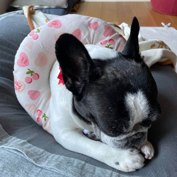 512202cb 39aa 4560 a072 82eb6f952a48 1657145122264