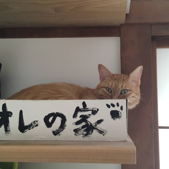 51221fd3 7e9d 40ef 9fa5 664f3d3ff8a9 1536383354139