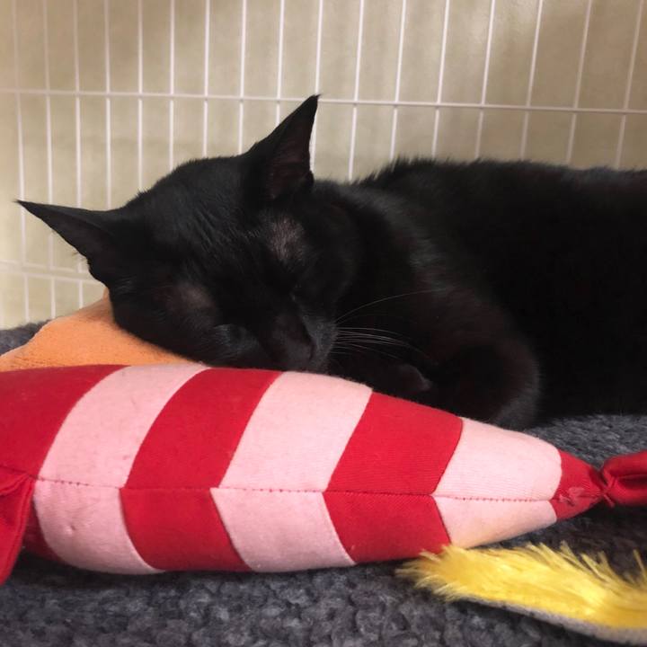 51222e40 e47b 4d34 896c 567a5c9e3941 1549709865259