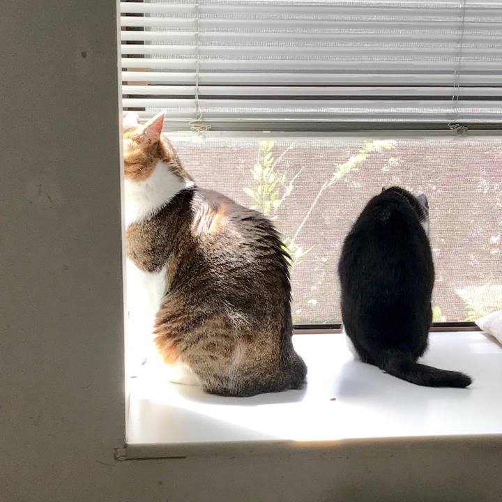 5122318e b603 4f30 a891 437c2254151e 1557884838878