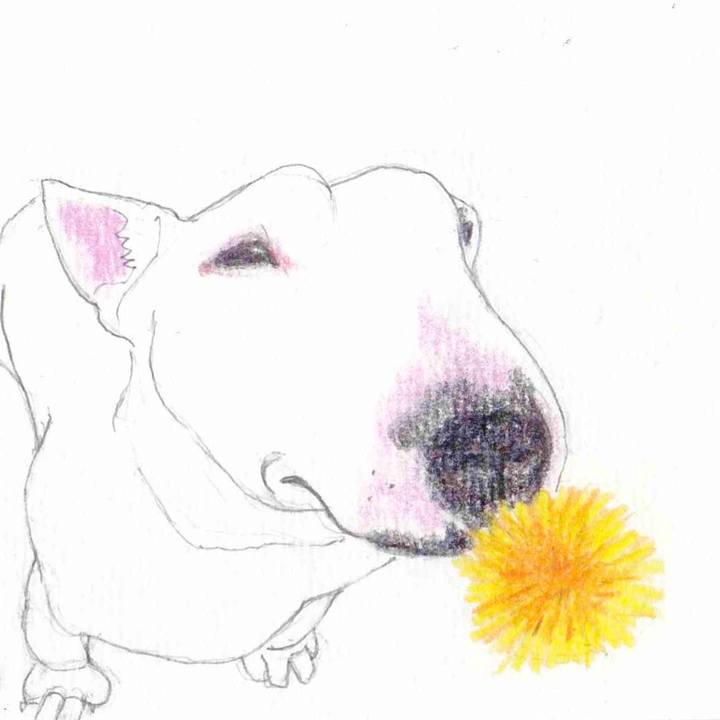 51225592 3a18 408a 9666 0fc187b54762 1585142066542