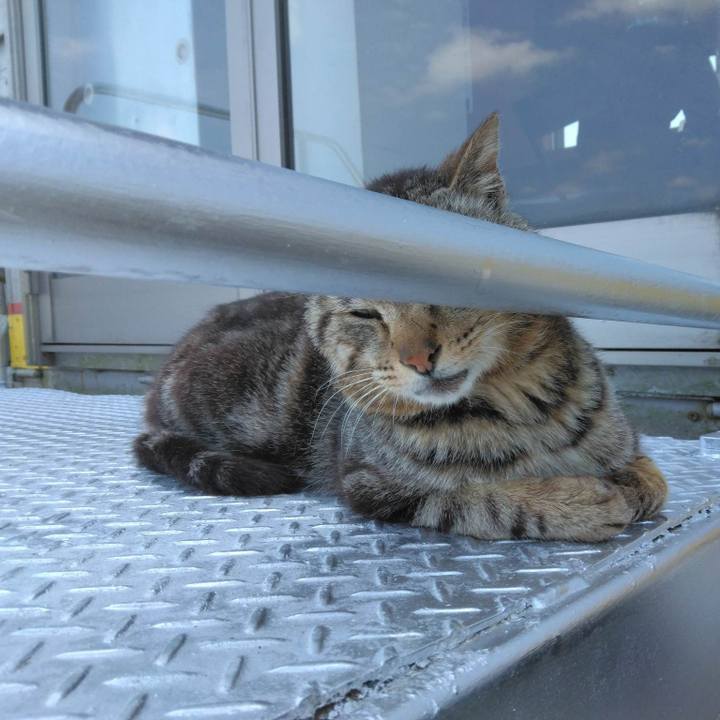 51226785 efc3 4ed4 b8df 88343ff66f29 1683879441838