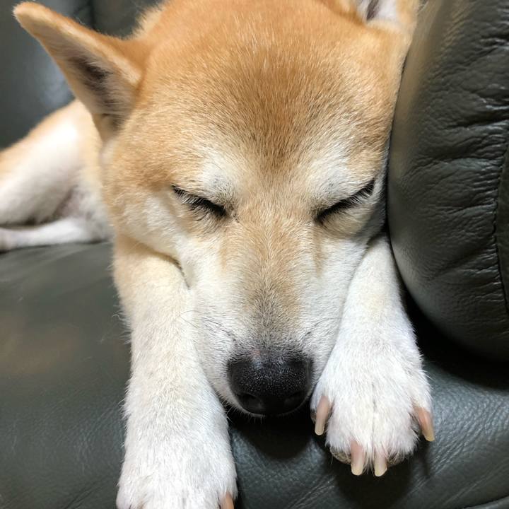 51228650 369d 4c5e beb7 6ce7804e0949 1599561046354