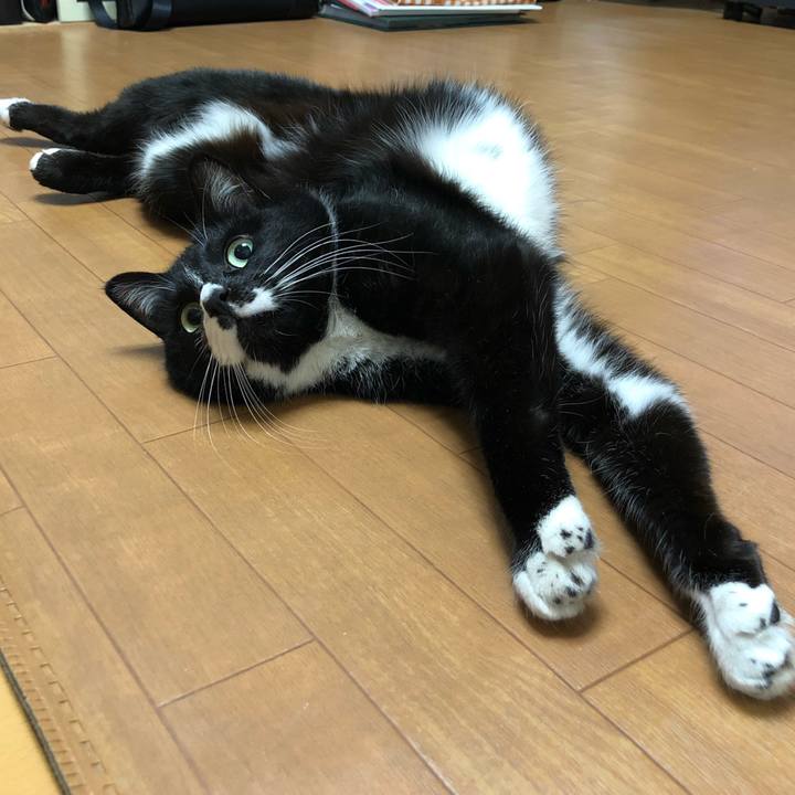 5122a195 af4e 44fe 9be7 27cd3fa5d9c0 1587699969088