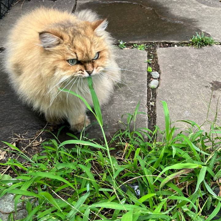 5122d0dc 0b85 499c ad2c f20f29e16d22 1661946942760