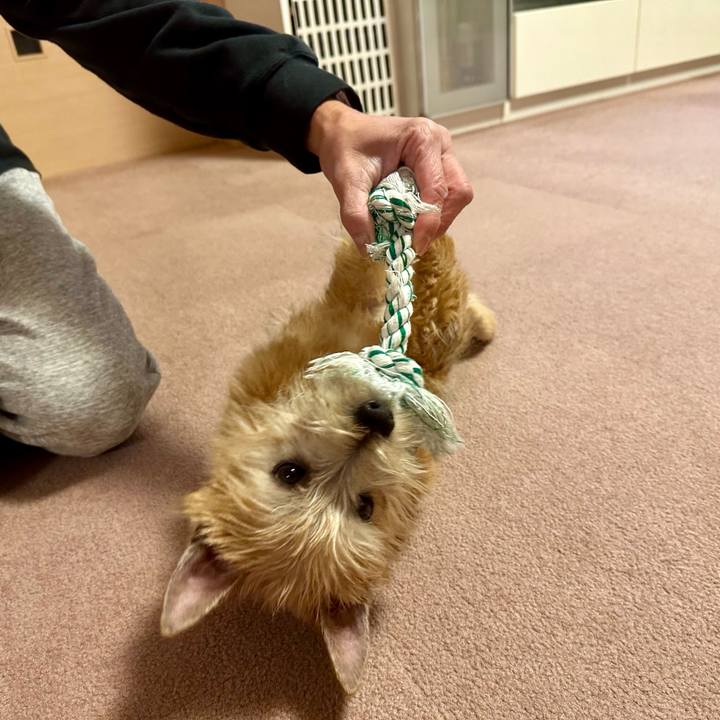 5122f8b7 22dc 48f5 a3f1 b797d857fdec 1707080112998