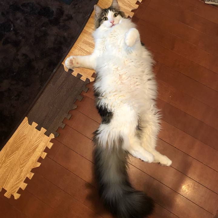 5123338b 2f21 48d7 baef c6c1c1141982 1560422680775