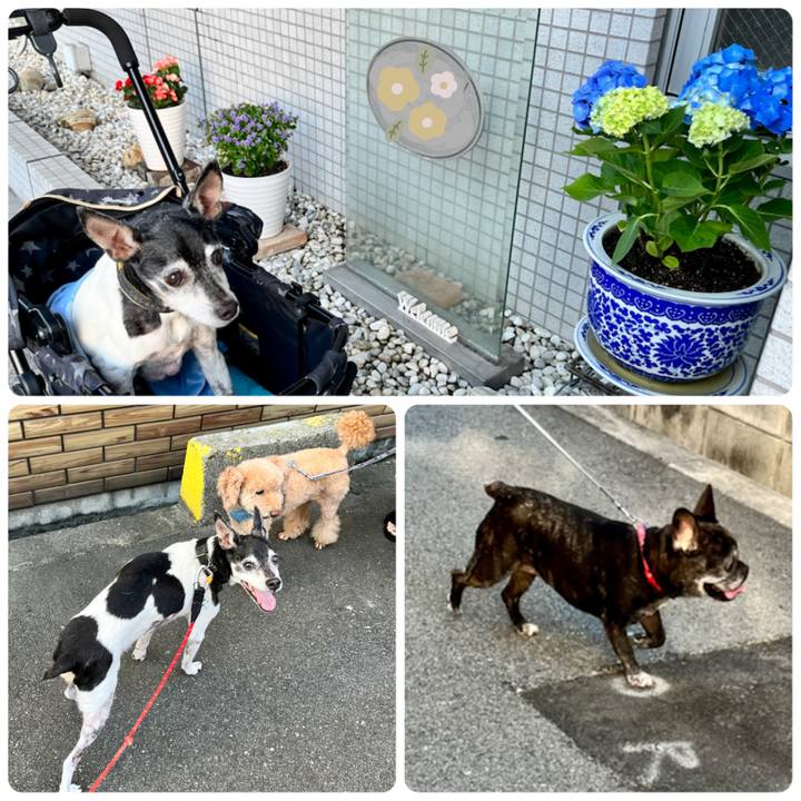 512359c0 ee4f 4665 a3a6 5b398d444e43 1656284442609