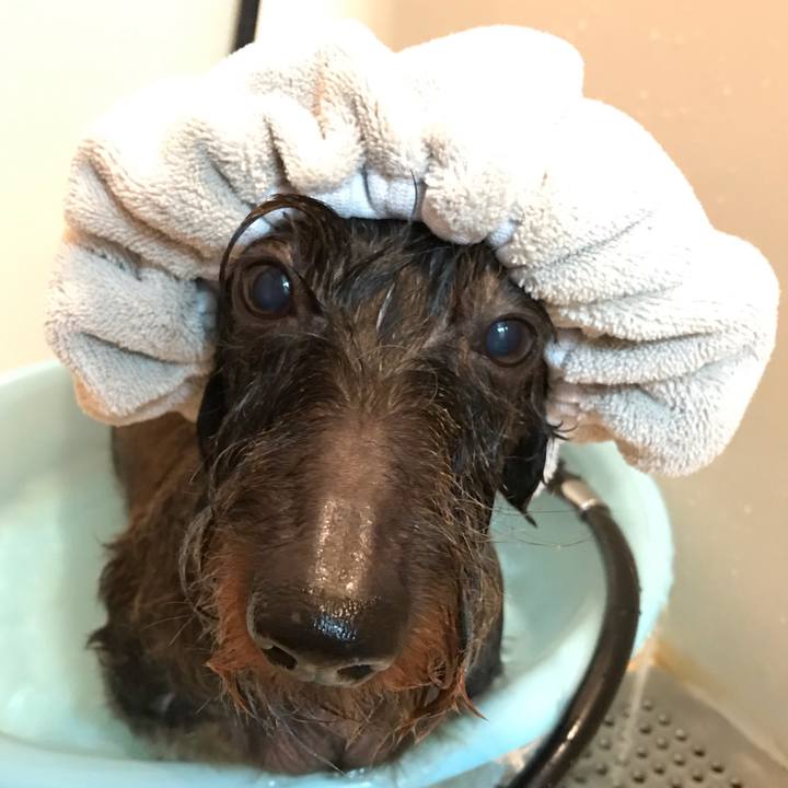 512377c8 8e38 49d5 be8d abd3c7d97c4c 1544882629785