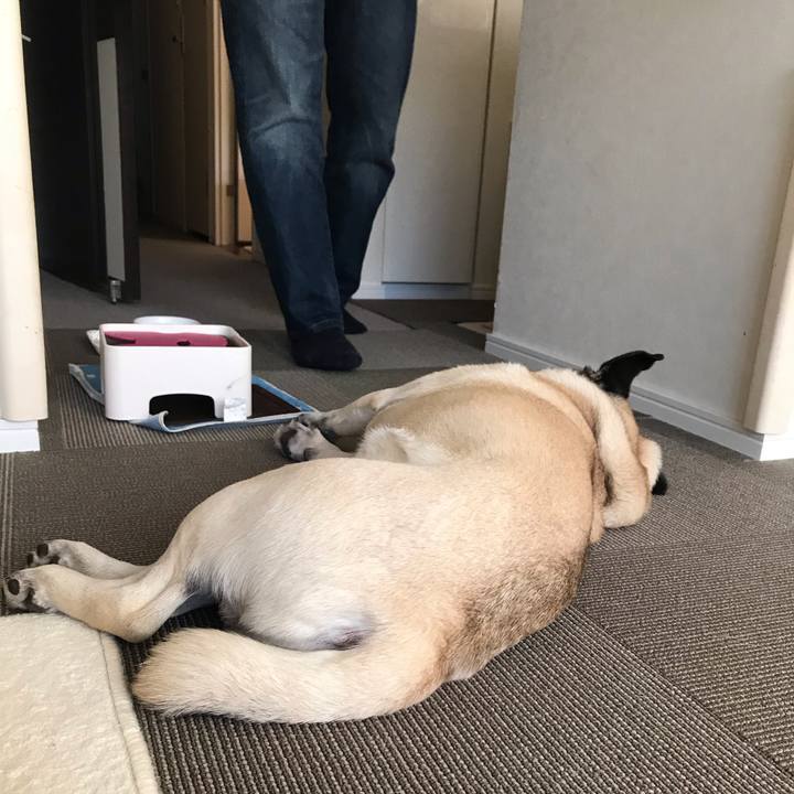 5123a730 8912 49ca 9799 86dd4180ced5 1583330600377