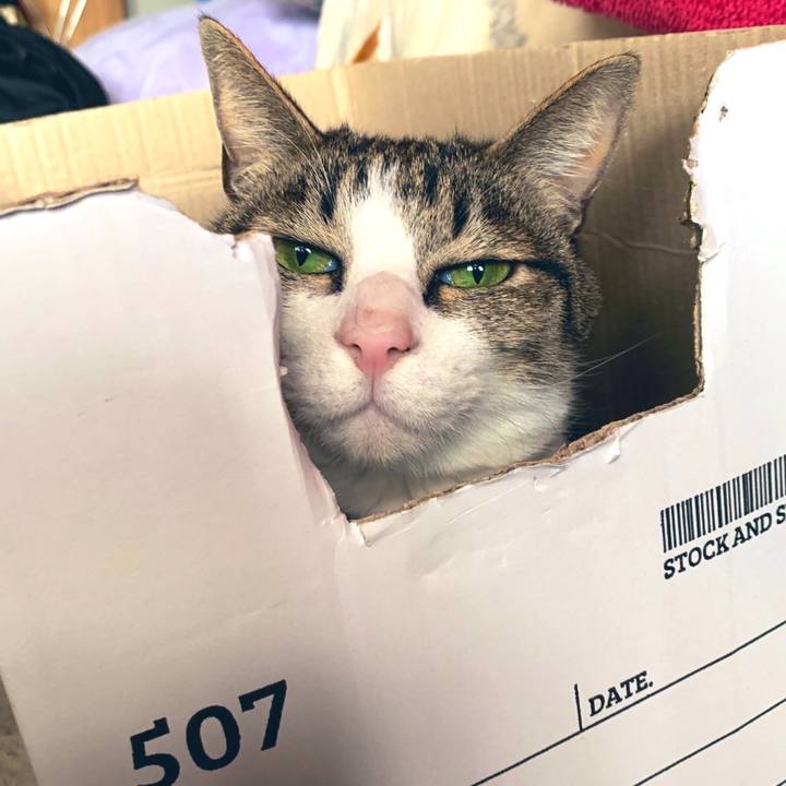 5123c1c8 618c 4900 b73d dd32c50ee808 1583847681387