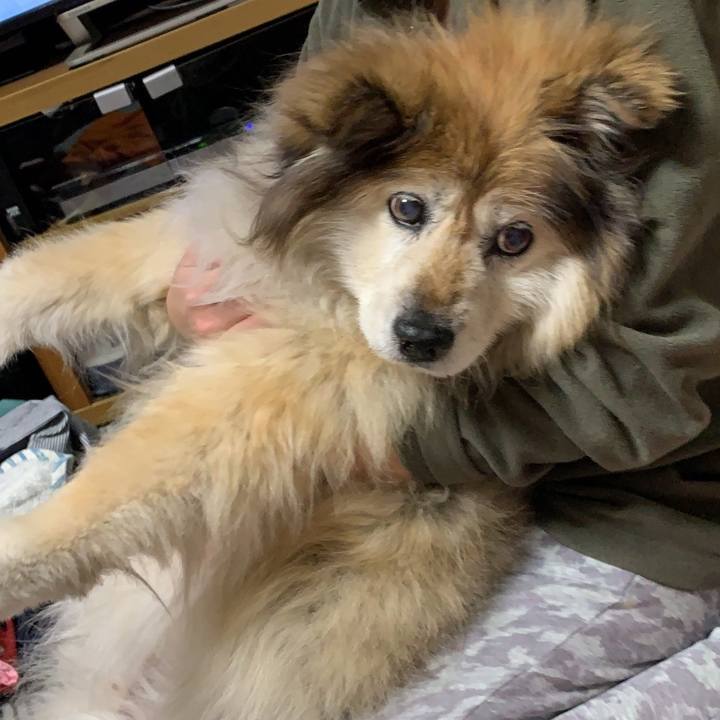 5123e859 b912 43aa ba94 b0bef9fd73d7 1612104126201