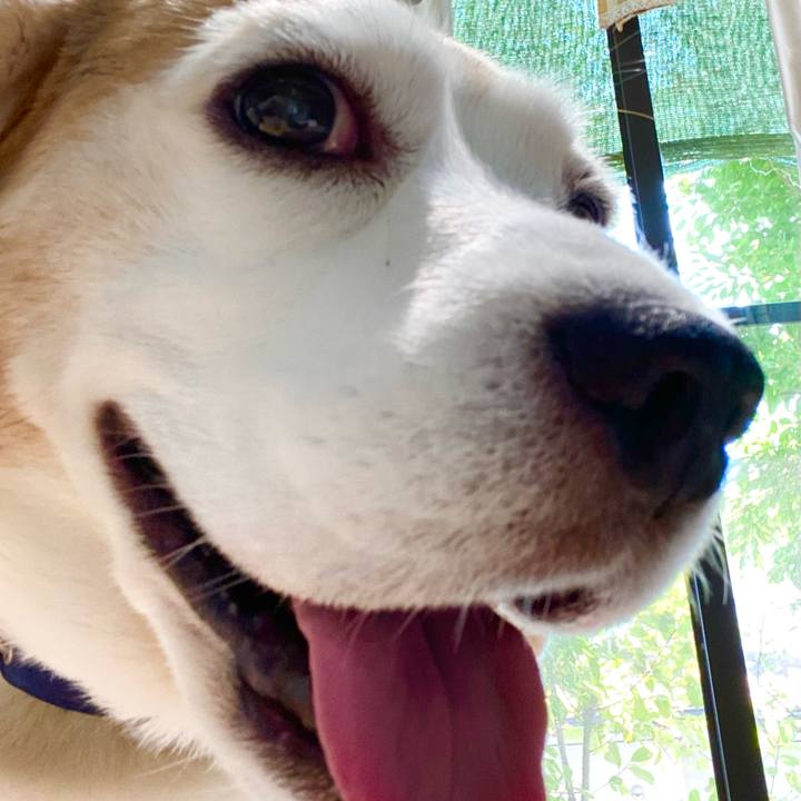 5123f28b 548b 4121 8c2d 7f1956203e67 1623210474864