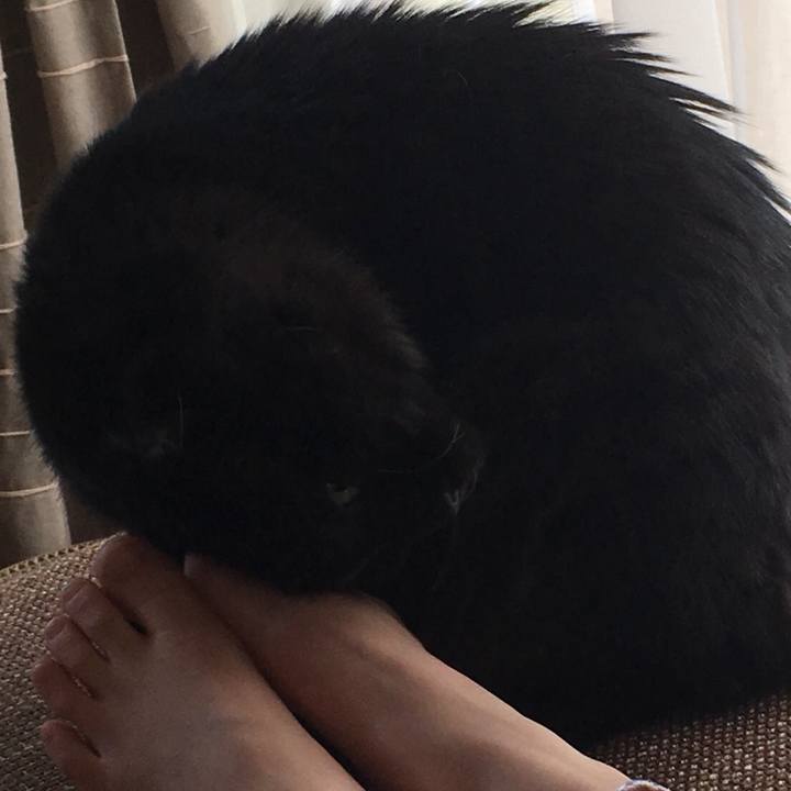 51241fea 9333 4588 b487 3a906850f89b 1528973588437