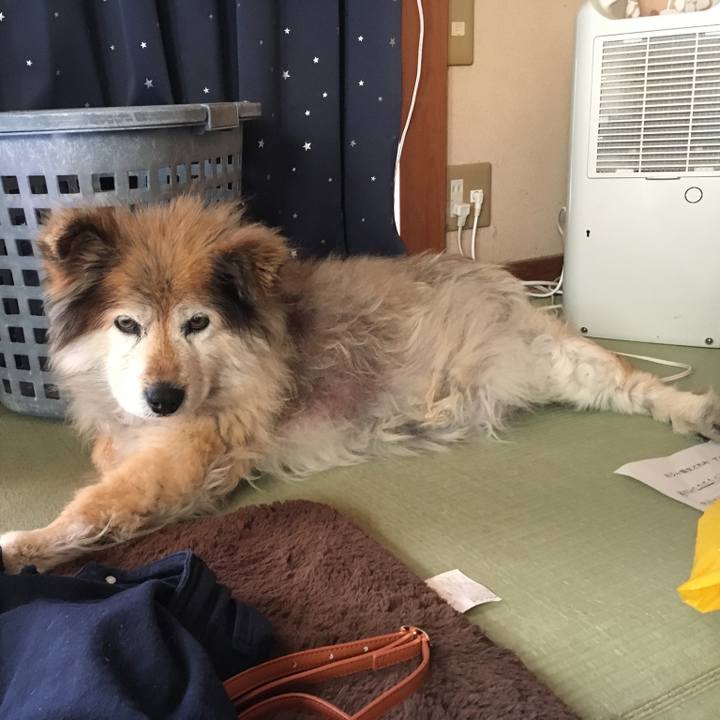 512423fe a998 45c2 83c6 10249a06a524 1586006591504