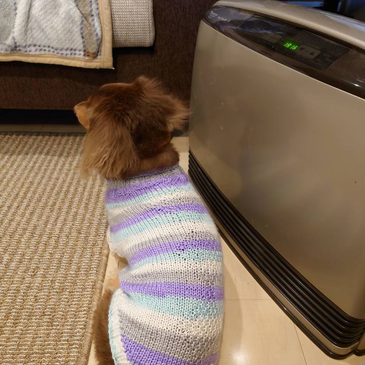 512448d6 ee58 4385 a6a5 10fb337e7a89 1676260573995