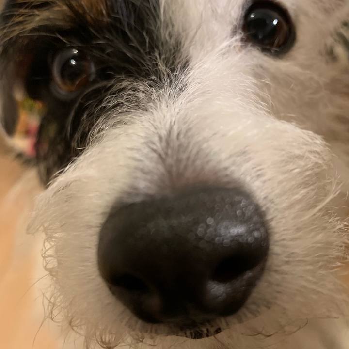 5124501f 521d 428c 9dbe 91efcfbb68ed 1566908536762