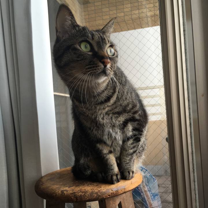 512451db de20 458e 87a6 1c40e0010471 1553057607925