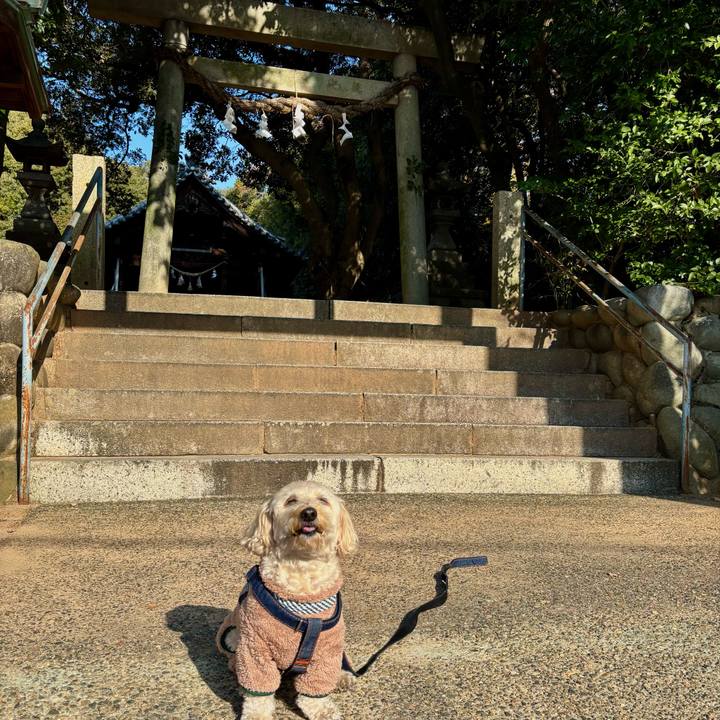 51248cd3 6563 47ca 95b0 f1895408da57 1766023499185