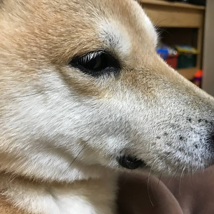 51249831 8fb1 4e00 abc0 842f00425798 1518410419845