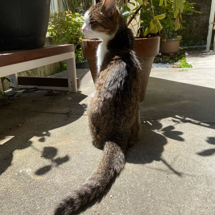 5124aabe 1925 4539 9d99 83db888c691a 1586086452262