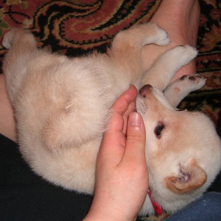 5124b304 3a00 4262 9584 14700f6c6227 1676396183524